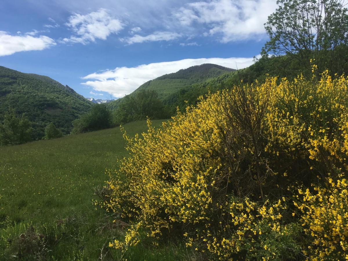 Les Songes Du Chene Otel Augirein Dış mekan fotoğraf
