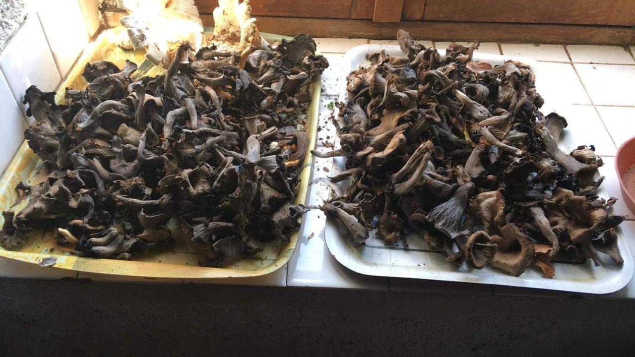 Les Songes Du Chene Otel Augirein Dış mekan fotoğraf